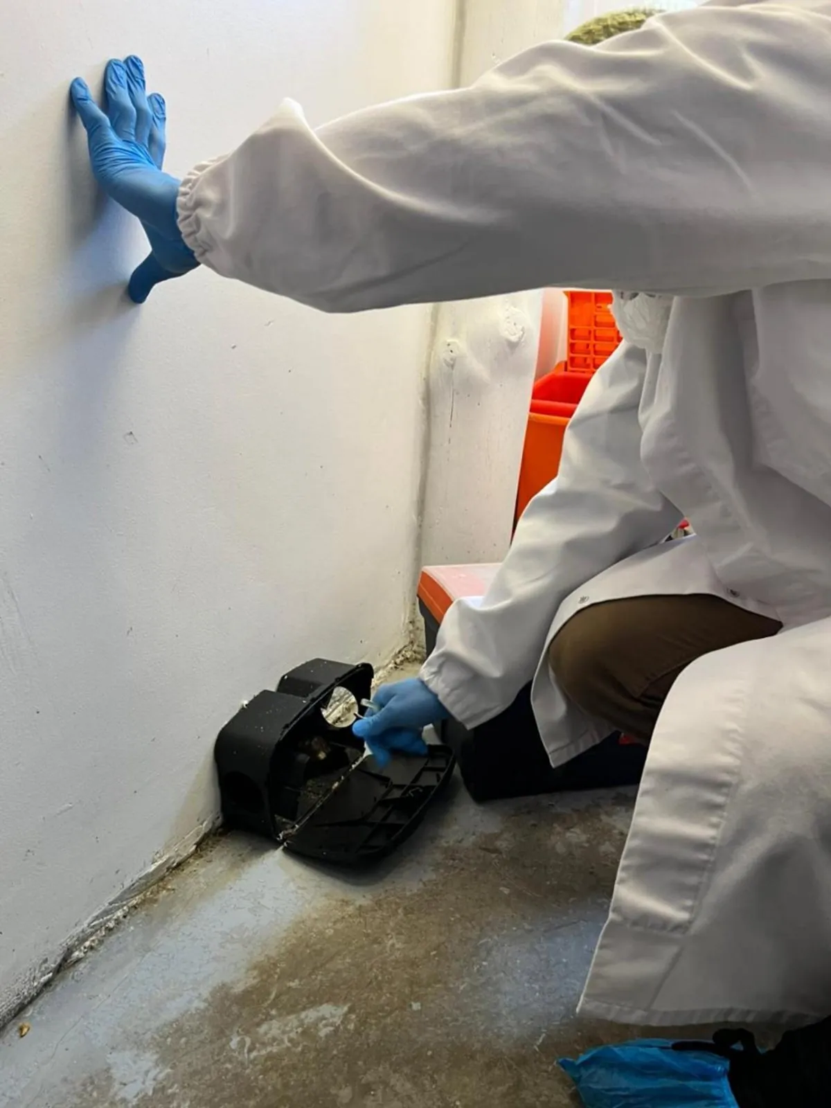 ASC Pest Control Services gallery 4