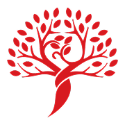 Anlo Financial Solutions, Accountant in Johannesburg