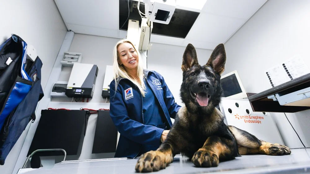 Ashburne Veterinary Hospital