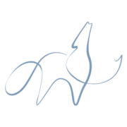 Amber Wolf Studios, Graphic Designer in Cape Town