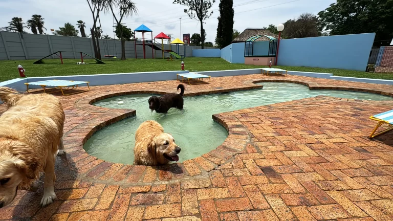 Coopers Pets - Luxury Doggy Daycare, Doggy Hotel, Cat Hotel And Pet Store