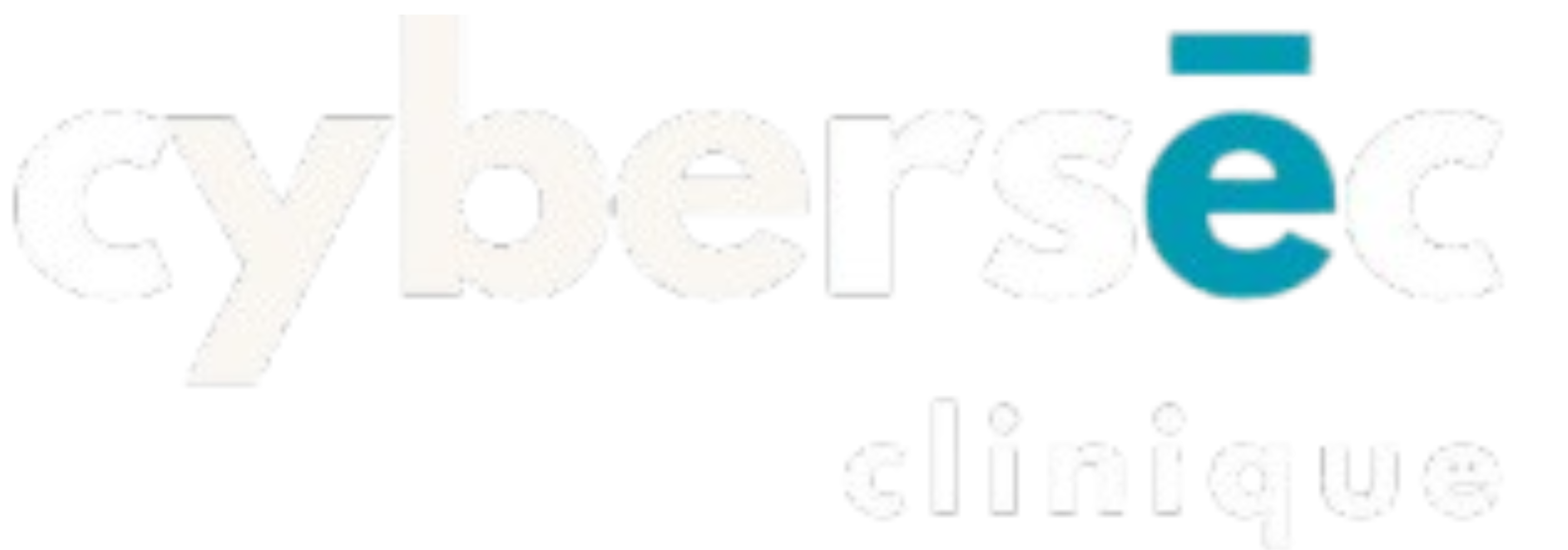 Cybersec Clinique, Cyber Security in Johannesburg
