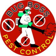 Bug Boss Pest Control, Pest Control in Sandton