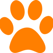 Boskruin Veterinary Clinic, Veterinarian in Johannesburg