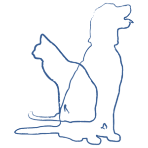 Hout Bay Veterinary Hospital