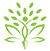 Country Life Gardens - Landscaping Services Johannesburg
