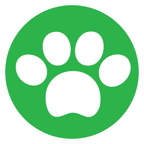 Club Street Kennels & Cattery, Pet Boarding in Johannesburg