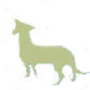 Johannesburg Specialist Veterinary Centre, Veterinarian in Johannesburg
