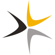 AVeS Cyber Security (Pty) Ltd, Cyber Security in Johannesburg