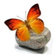 David van der Want - Clinical Psychologist, Psychologist in Cape Town