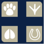 Blue Cross Veterinary Hospital, Veterinarian in Cape Town