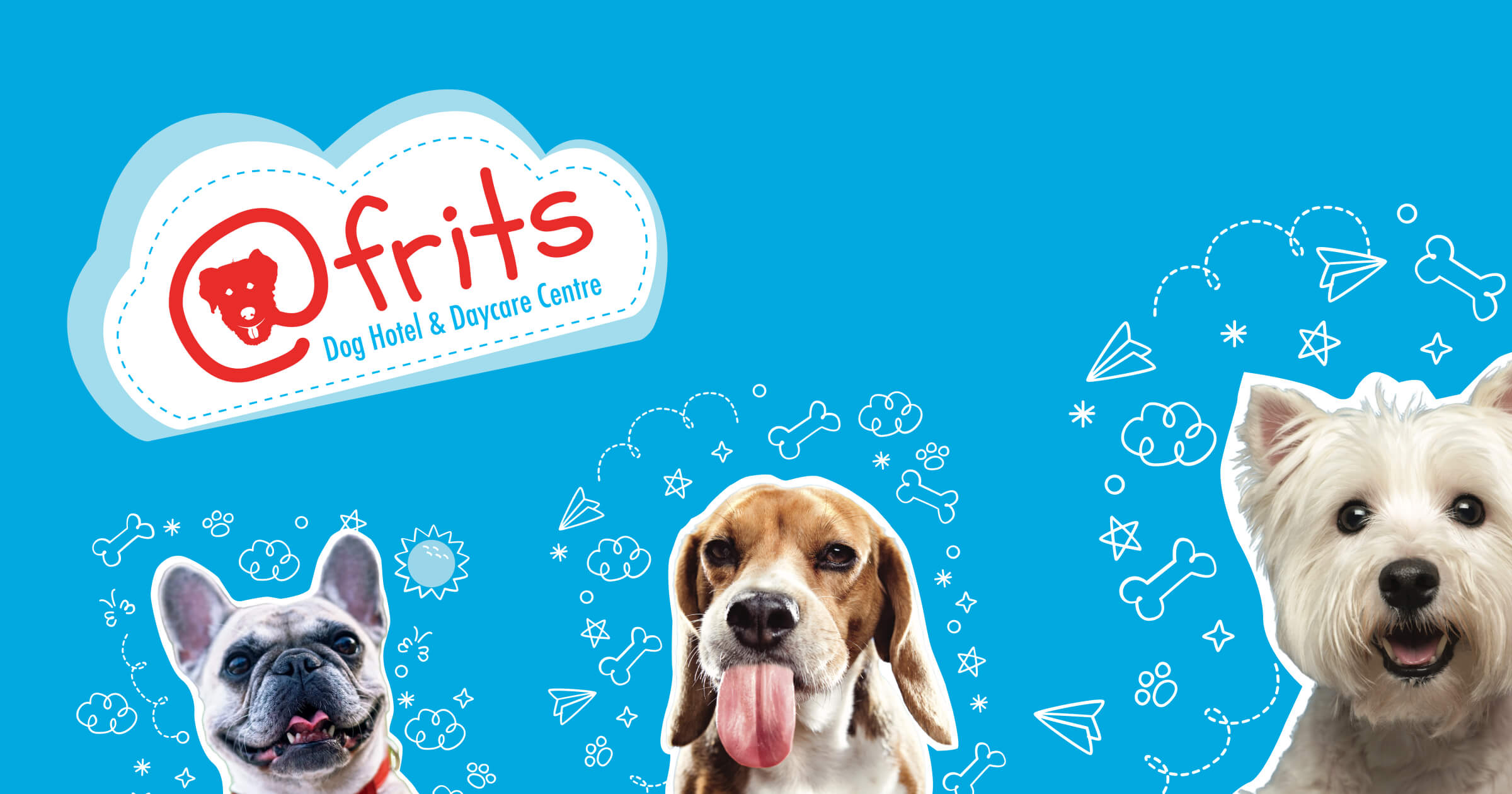 atFrits Dog Hotel & Daycare Centre, Pet Boarding in Cape Town
