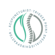 Dr Jason Gaymans: the Sandton Chiropractor and Acupuncturist, Chiropractor in Sandton