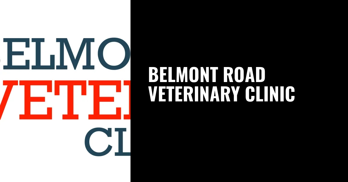 Belmont Road Veterinary Clinic, Veterinarian in Cape Town
